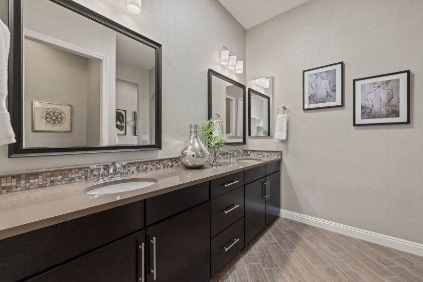 Owner's Bath