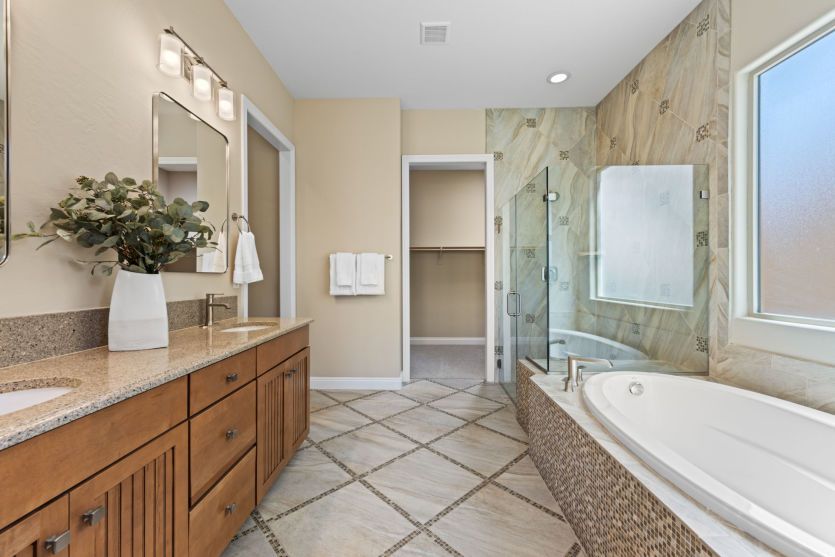 Owner's Bath