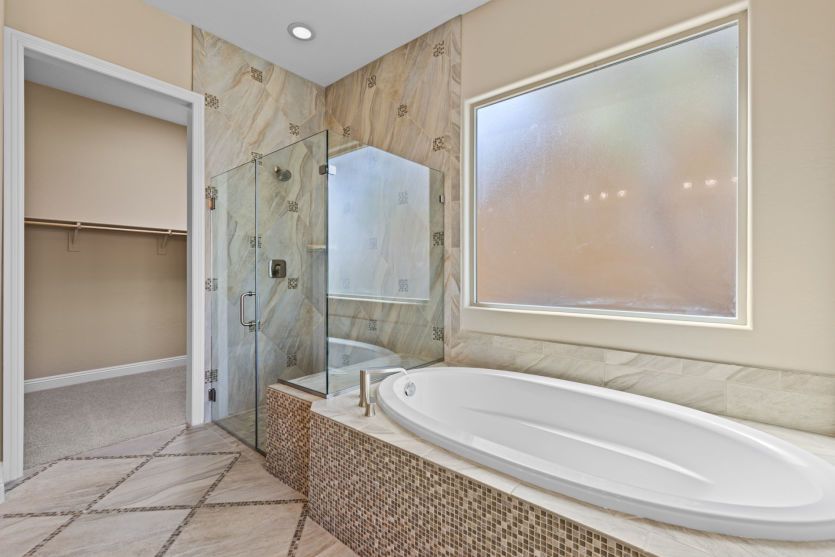 Owner's Bath