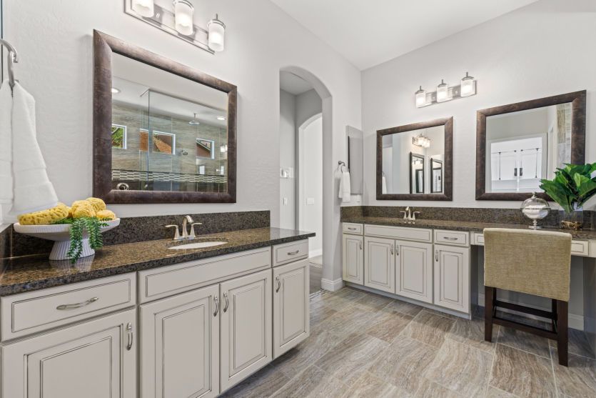 Owner's Bath