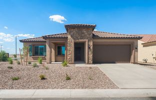 Pursuit - Sun City Anthem at Merrill Ranch: Florence, Arizona - Del Webb