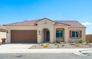 Pursuit - Sun City Anthem at Merrill Ranch: Florence, Arizona - Del Webb