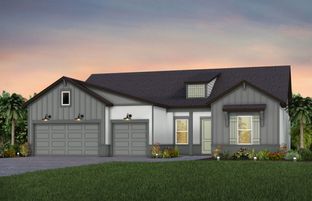 Stellar - Del Webb Sunchase: Parrish, Florida - Del Webb