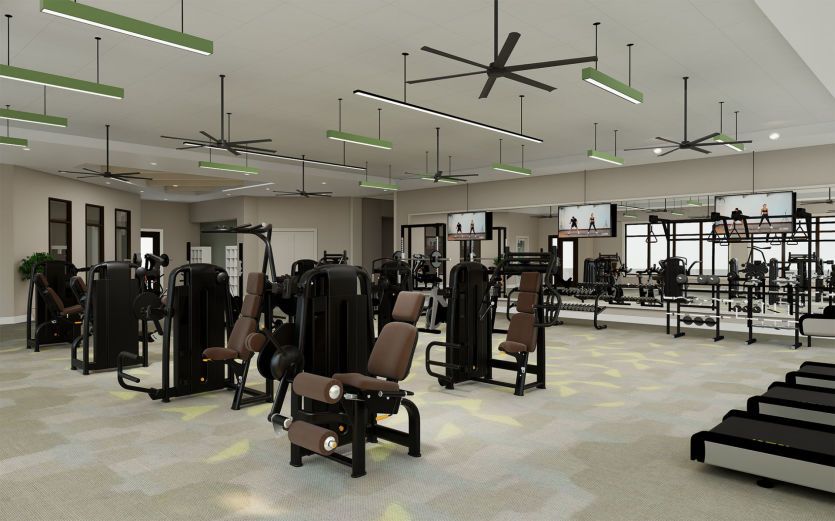Horizon Fitness Room