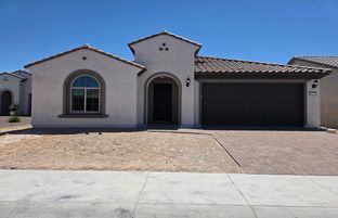 Preserve - Sun City Festival: Buckeye, Arizona - Del Webb