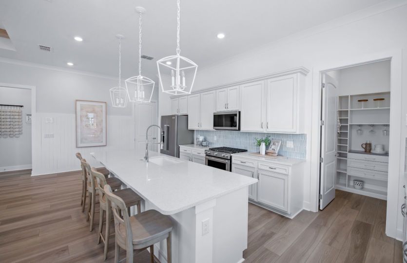 Modern Kitchen with Large Walk-In Pantry