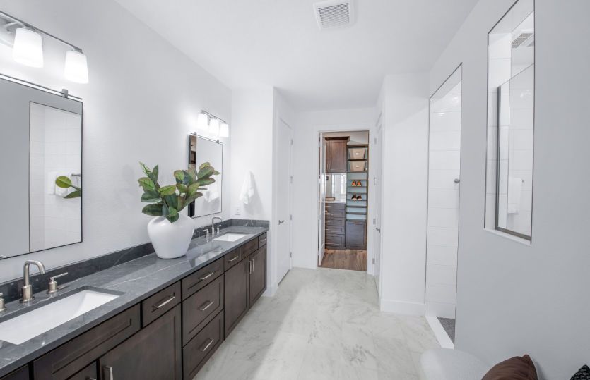 Owner's Bathroom