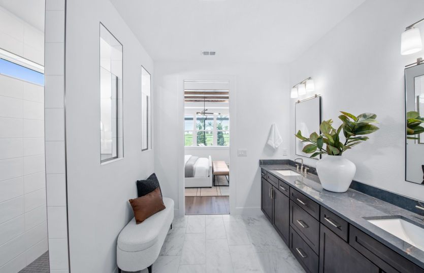 Spa-Like Owner's Bath