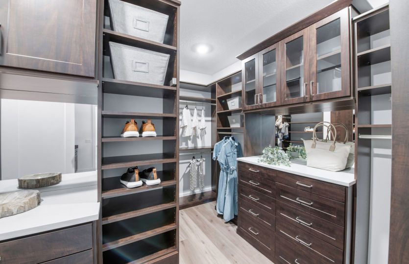 Luxurious Owner's Closet