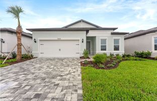 Mystique - Del Webb River Reserve: Spring Hill, Florida - Del Webb