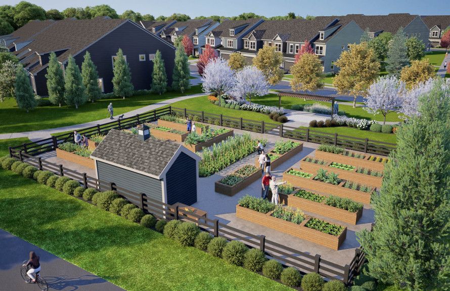Community Garden