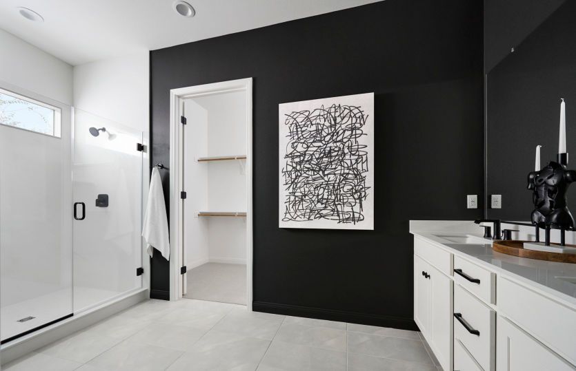 Owner's Bathroom