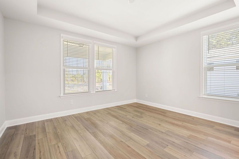 Owner's Suite with Tray Ceiling