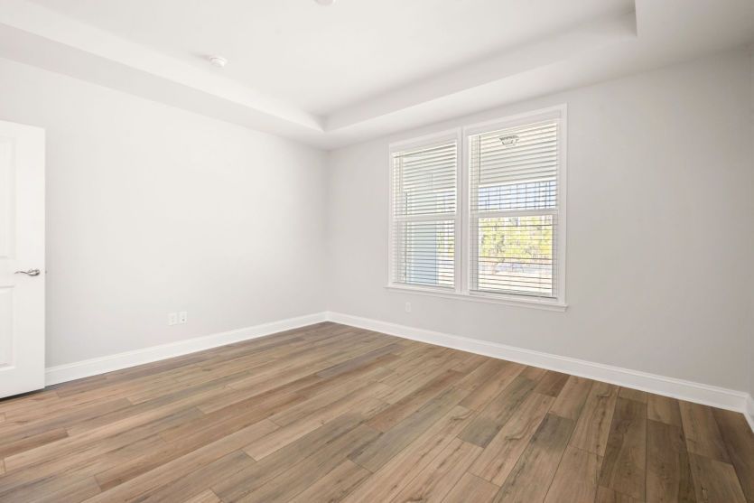 Owner's Suite with Tray Ceiling