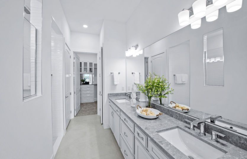 Luxurious Owner's Bathroom