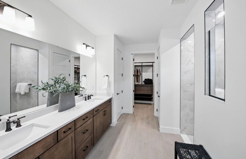 Luxurious Owner's Bathroom