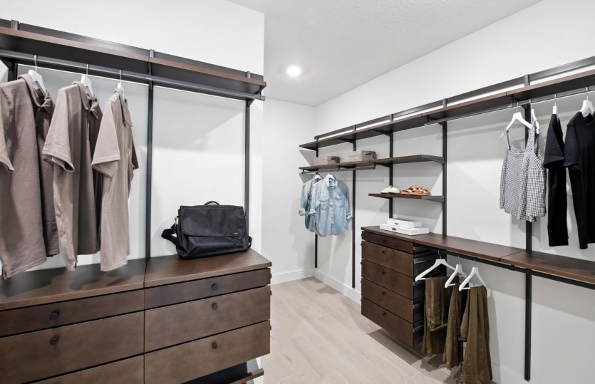 Spacious Owner's Closet