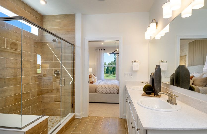 Owner's Bath