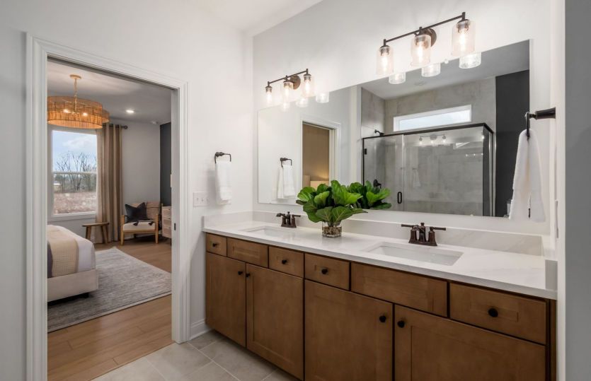 Owner's Bath