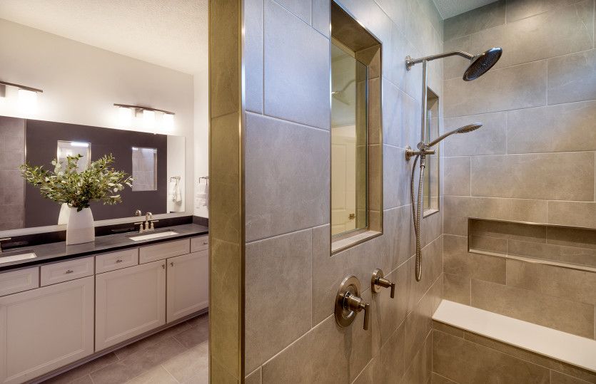 Owner's Bath