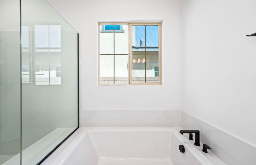 Homesite 8
