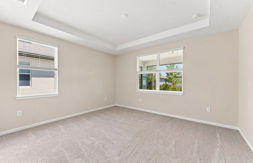 Owner's Suite w/Tray Ceiling