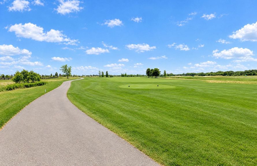 Views, Elevated