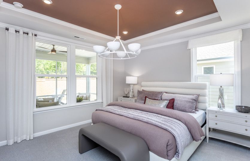 Owner's Suite with Tray Ceiling