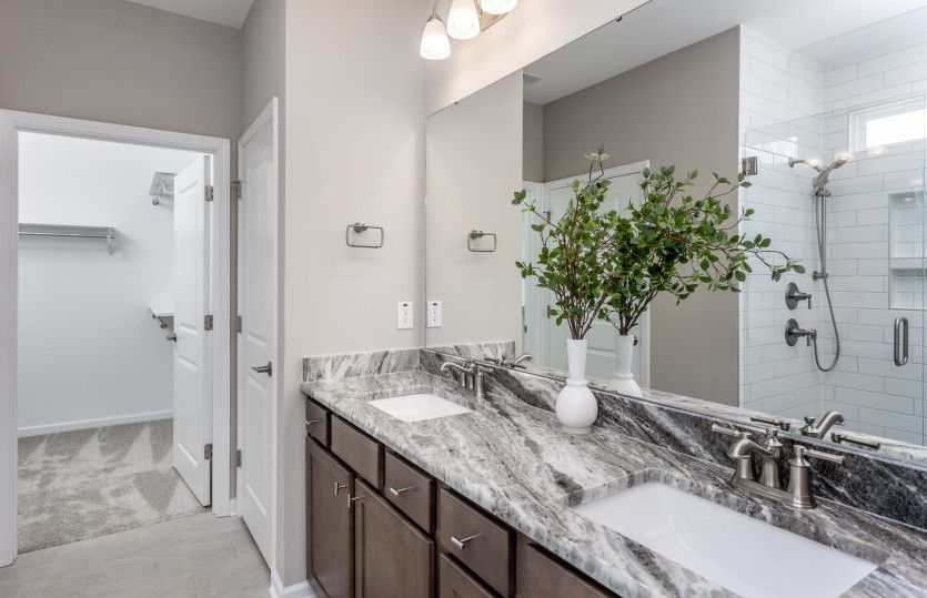 Owner's Bath & Walk-In Closet