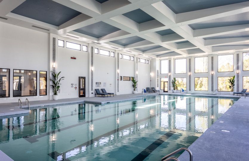 Swim All Year