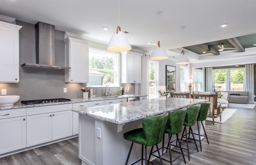 Beautiful Gourmet Kitchen