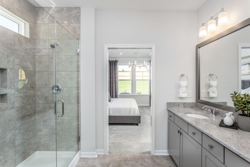 Owner's Bath Entry