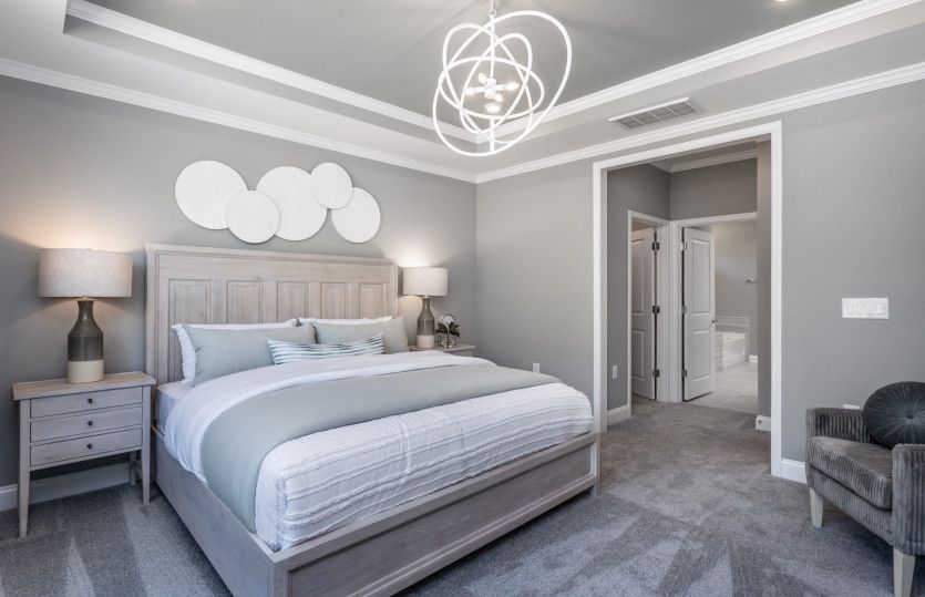 Owner's Suite with Tray Ceiling