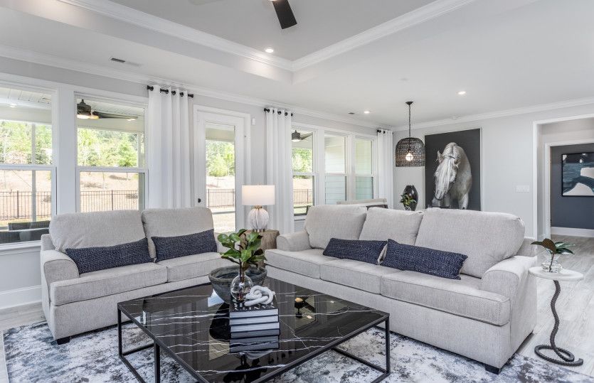 Living Space with Lots of Natural Light