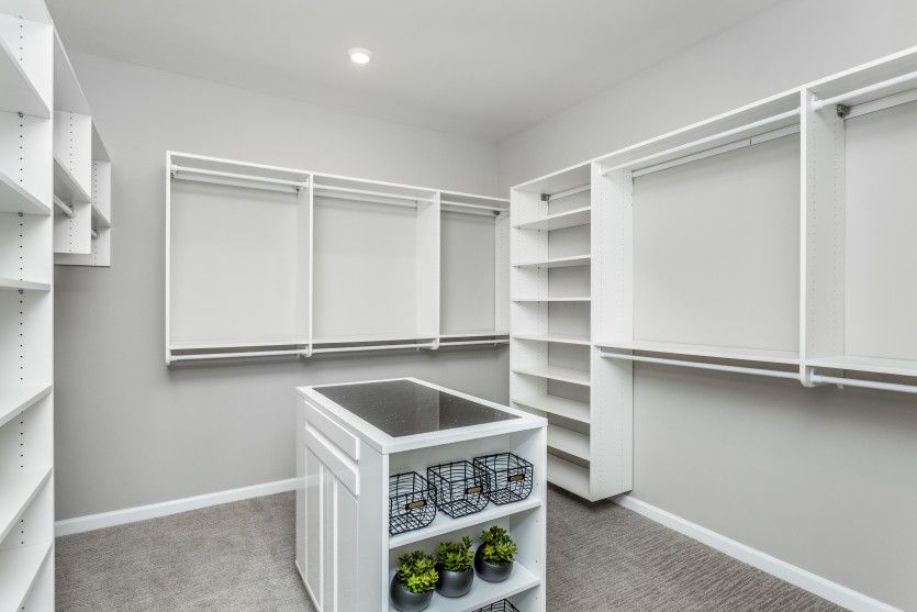 Huge Walk-In Closet
