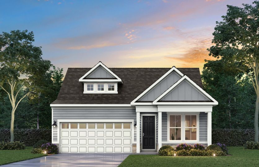 Elevation CT204