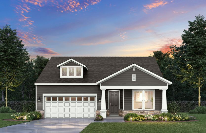 Elevation CR203