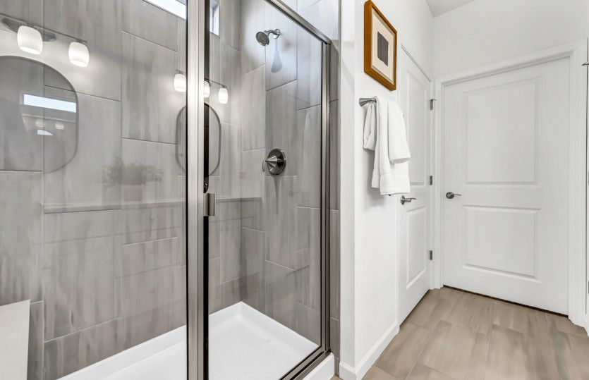 Owner's Bath