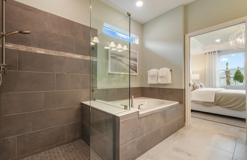 Owner's Shower and Spa Bath