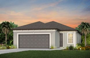 Contour - Del Webb Stone Creek: Ocala, Florida - Del Webb