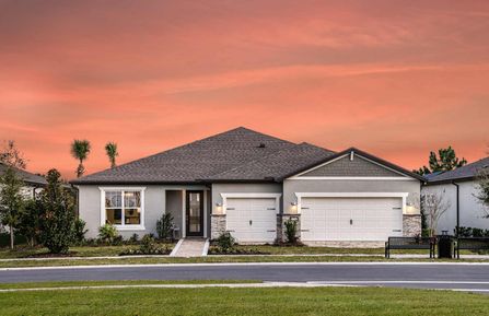 Stardom Floor Plan - Del Webb