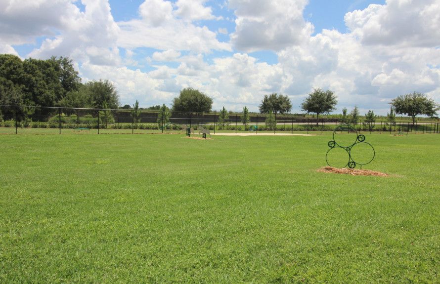 Reflection Bay Dog Park