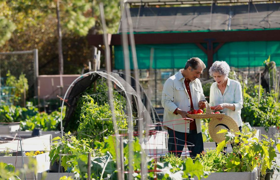 Community Garden
