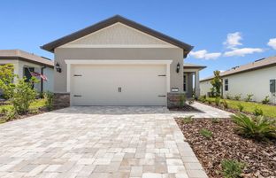 Contour - Del Webb Stone Creek: Ocala, Florida - Del Webb