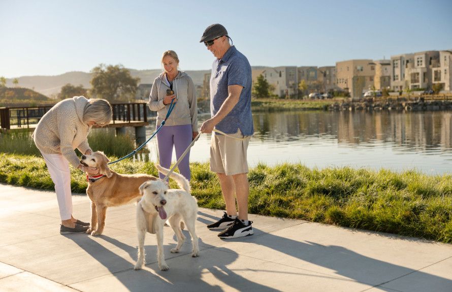 Live your ideal lifestyle