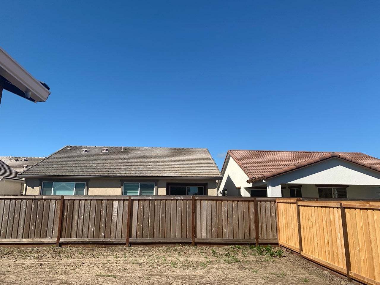 Homesite 493 | Backyard