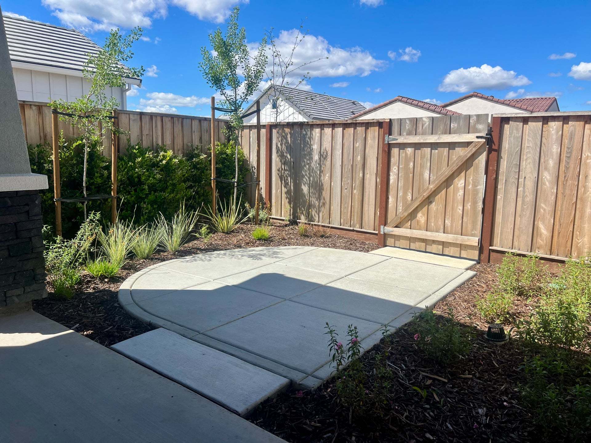 Homesite 42 | Backyard