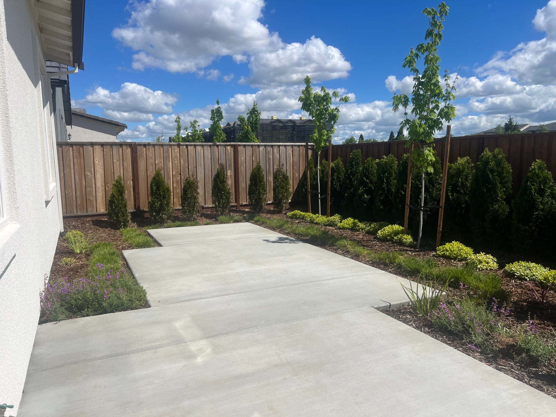 Homesite 70 | Landscaped Backyard