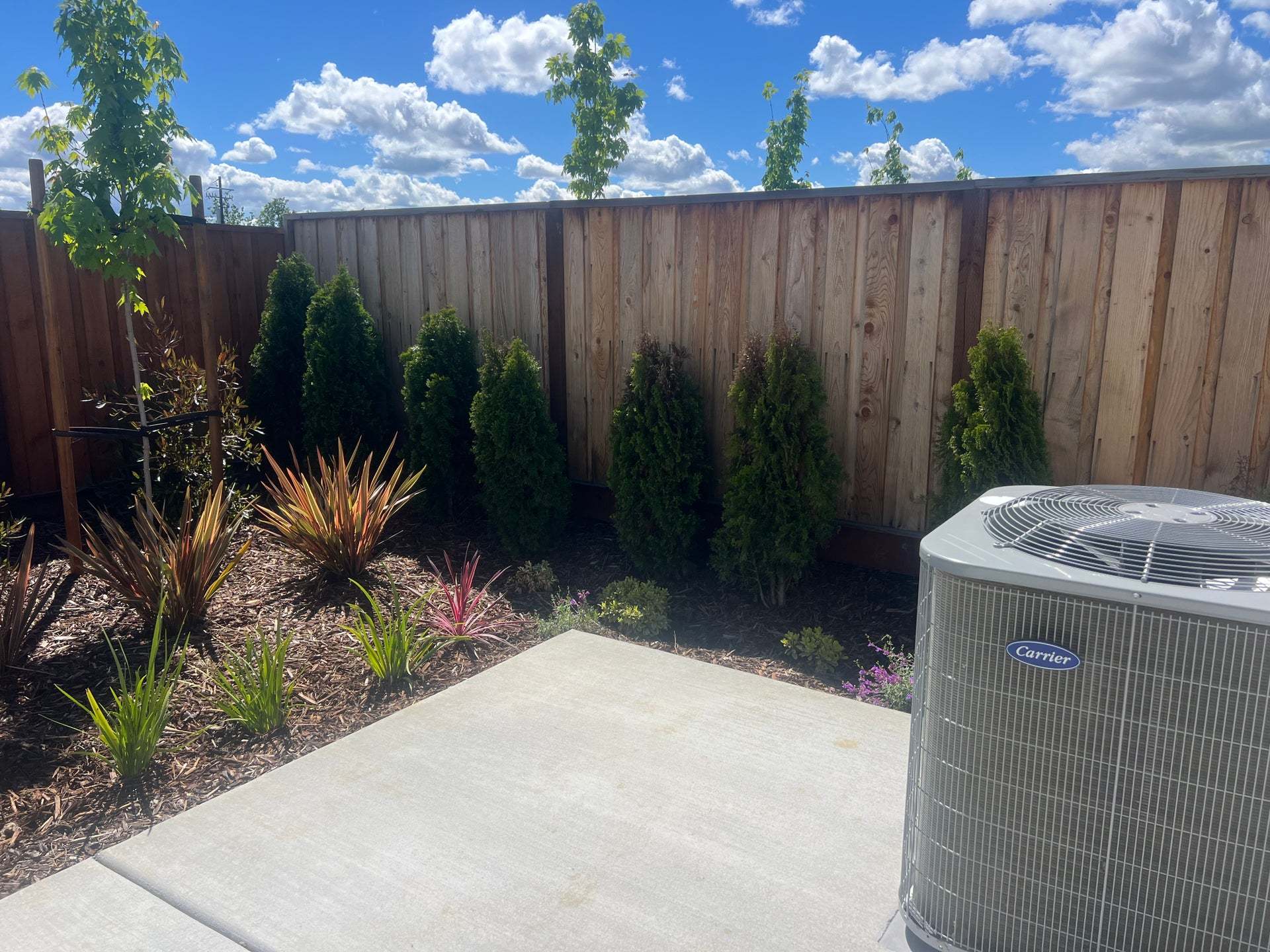 Homesite 70 | Landscaped Backyard