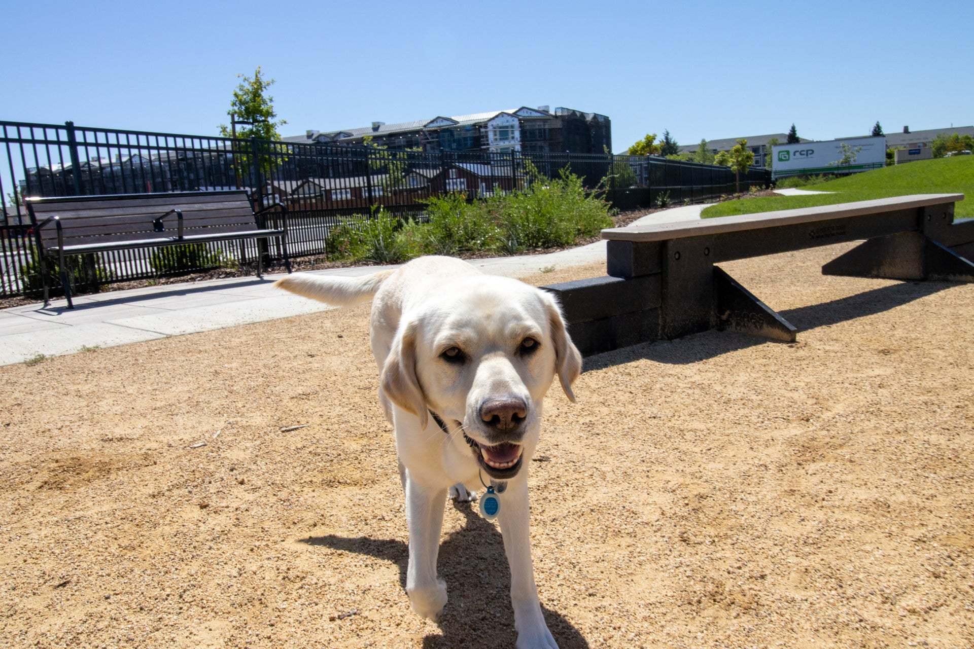 Bretton Woods Dog Park